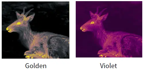 ThermTec-CYCLOPS-Thermal-Imaging-Monocular-22