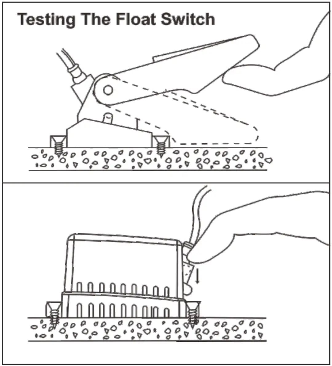 Testing The Float Switch
