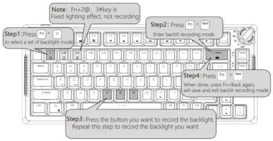 FIG 8 BACKLIGHT RECORDING METHOD.JPG