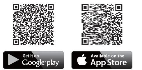 Greenbear-Black-01-Ambler-Green-Bear-Hoodie-Black-01