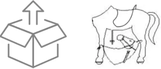 ROLLZONE MP2007-M My Pony Ride on Horse 01