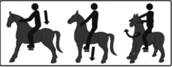 ROLLZONE MP2007-M My Pony Ride on Horse 03