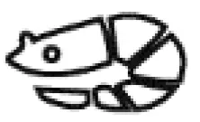 SEVERIN-FR-2445-Hot-Air-Fryer-14