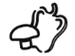 SEVERIN-FR-2445-Hot-Air-Fryer-17