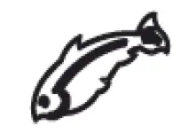 SEVERIN-FR-2445-Hot-Air-Fryer-18