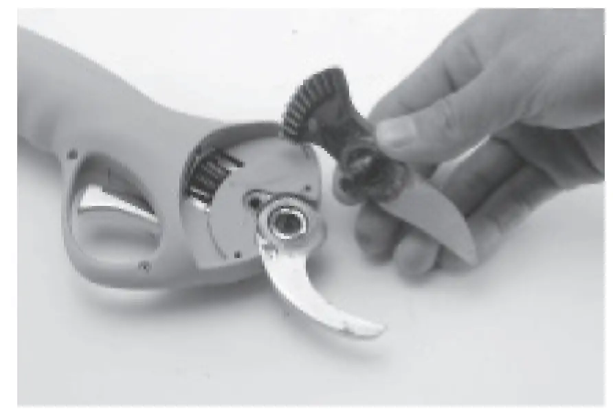 Blade tension adjustment