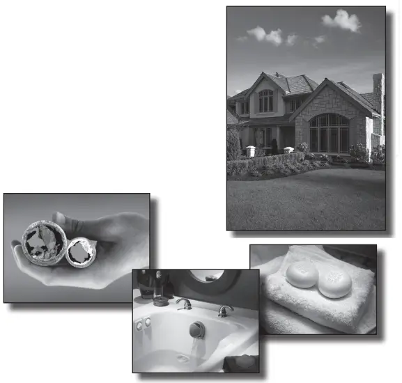 CHARGER Water Fleck SXT Controllers - FEATURES