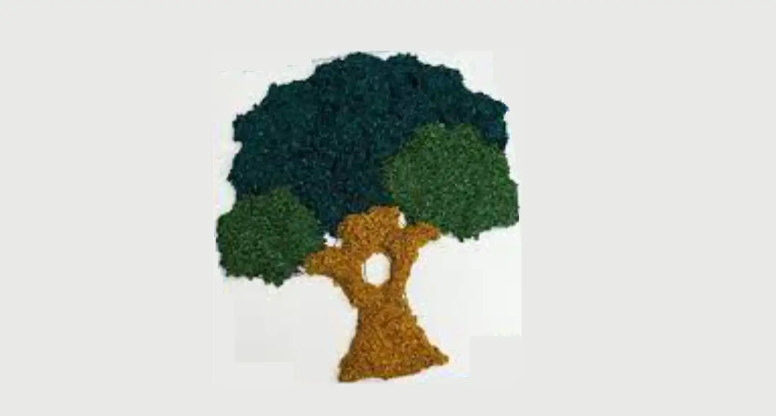 Spark More Play Playfoam Trees Instruction Manual