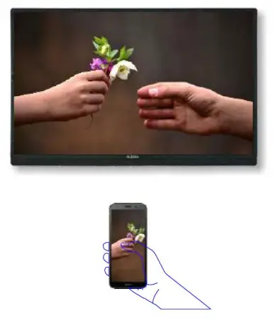 Wireless Screen Mirroring/Casting