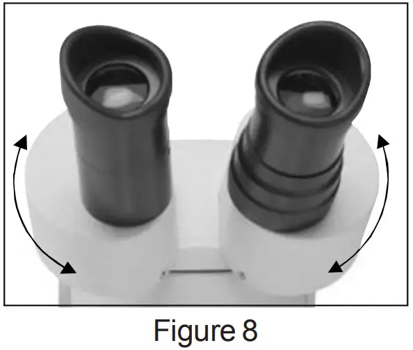 Interpupillary Adjustment