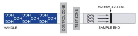 FIG 1 HOW DOES IT WORK.JPG