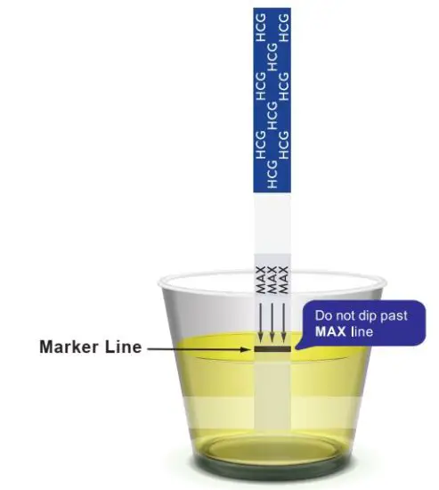 FIG 2 HOW TO DO THE TEST.JPG