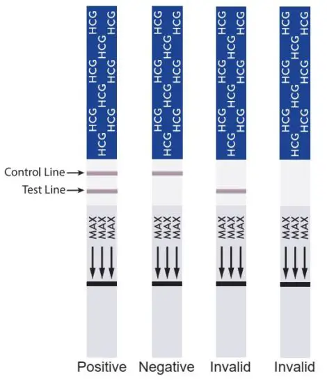 FIG 3 HOW TO READ THE RESULTS.JPG