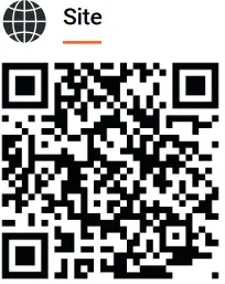REXING CCS1 to Tesla Adapter - qr code 3