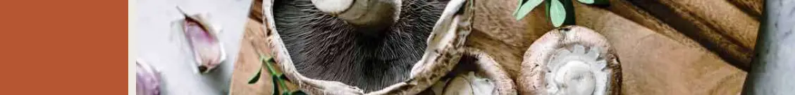 CAFE CXWS0H0PMFB Custom Handle for Wall Oven A1