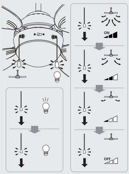 Assembly Instructions