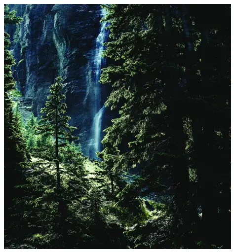 Bay Alarm Medical 0306 SOS Mobile Medical Alert System - In this guide