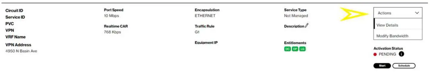 verizon-Dynamic-Network-Manager-Service-fig- (2)