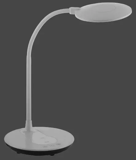 Paul-Neuhaus-14416-Floor-Lamp-FIG-1