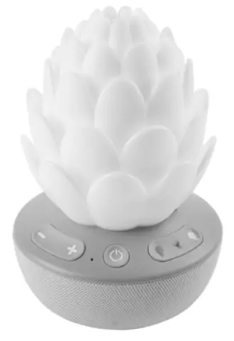 SKIP-HOP-SH9K092210-Terra-Cry-Activated-Soother-fig-1