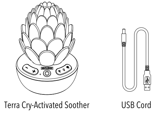 SKIP-HOP-SH9K092210-Terra-Cry-Activated-Soother-fig-2