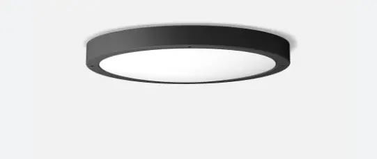 BEGA-24-714-Ceiling-and-Wall-Luminaire-PRODUCT