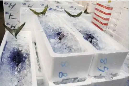 KIMO-KT-120-Data-Logger-2