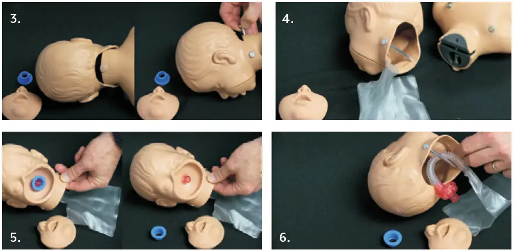 Nasco-HEALTHCARE-Kim-Devin-Kyle-Pediatric-CPR-Manikins-fig-4