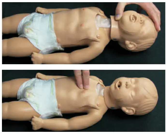 Nasco-HEALTHCARE-Kim-Devin-Kyle-Pediatric-CPR-Manikins-fig-6