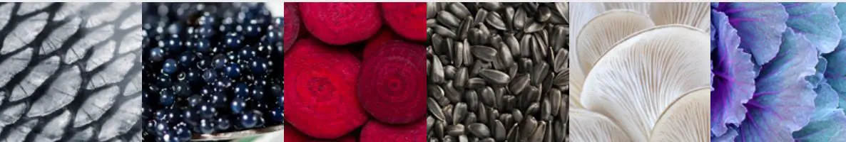 Steel-GQ12SF-6M-AN-Genesi-120cm-Anthracite-with-Nickel-Trim-Dual-Fuel-Freestanding-Cooker-FIG 1