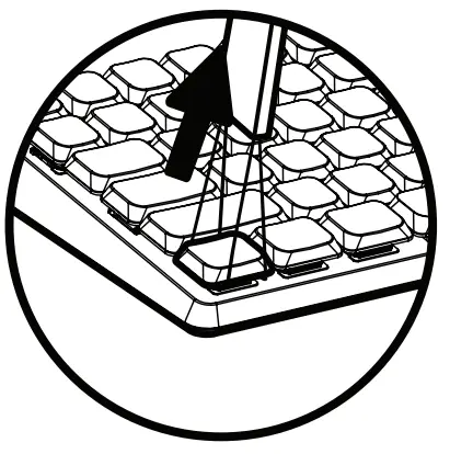 Using Hot-swappable Switches