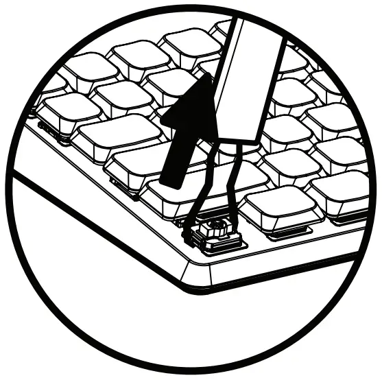 Using Hot-swappable Switches