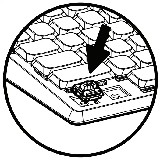 Using Hot-swappable Switches
