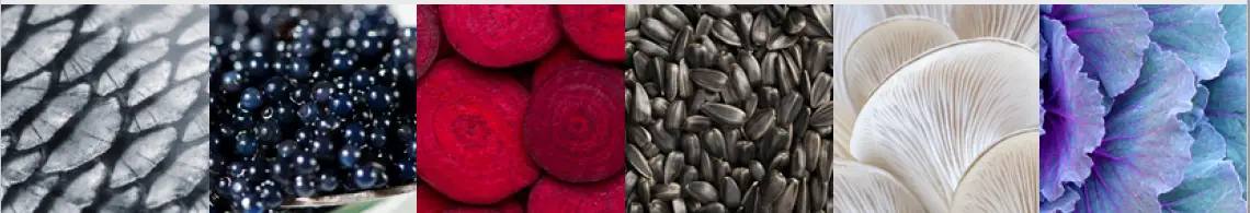 GQ10SF-6W-SS-Genesi-100cm-Stainless-Steel-with-Nickel-Trim-Dual-Fuel-Freestanding-Cooker-FIG-10