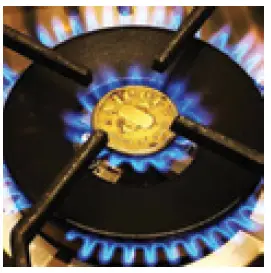 GQ10SF-6W-SS-Genesi-100cm-Stainless-Steel-with-Nickel-Trim-Dual-Fuel-Freestanding-Cooker-FIG-6