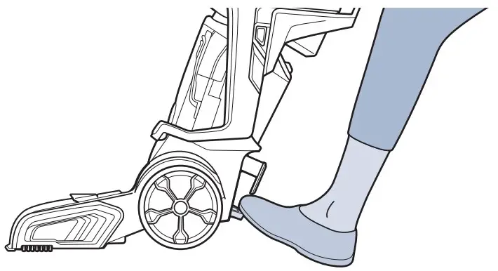 Cleaning Carpets and Area Rugs