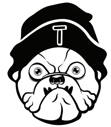 TURBRO Icon 2