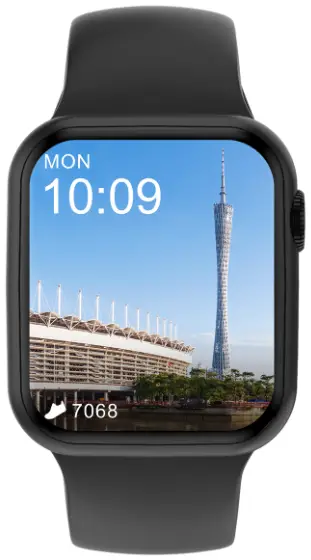 Shenzhen Xingchen Digital Technology Co Limited W11 Smart Watch