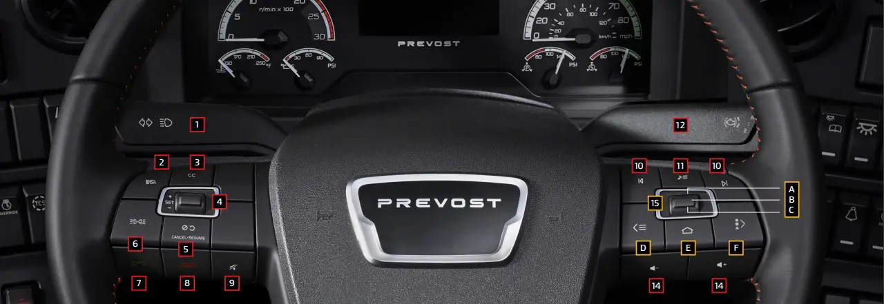 Steering Wheel Controls