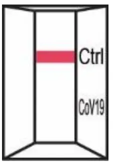 Status 33301 COVID-19 Antigen Rapid Test for Home - figure 12