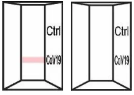 Status 33301 COVID-19 Antigen Rapid Test for Home - figure 14