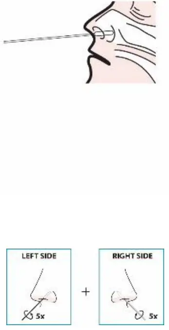 Status 33301 COVID-19 Antigen Rapid Test for Home - figure 5