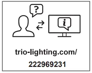 TRIO 222969242 Wall Lamp - Figure