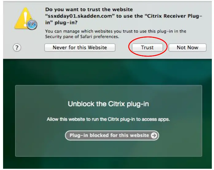 Skadlink-Citrix-Remote –Pc-16