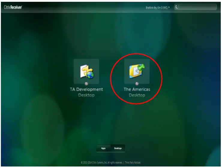 Skadlink-Citrix-Remote –Pc-17