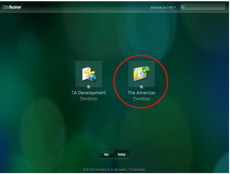 Skadlink-Citrix-Remote –Pc-7