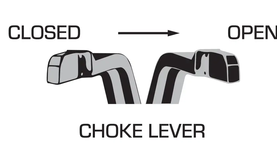 Continue Startup Steps With Either Fuel