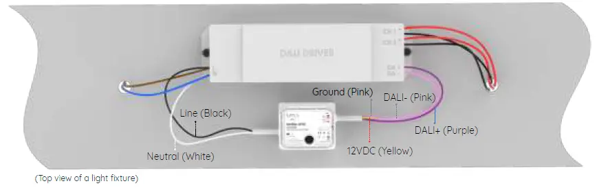 lumos Radiar AFD1 SLAVE DALI Fixture Controller-fig-3