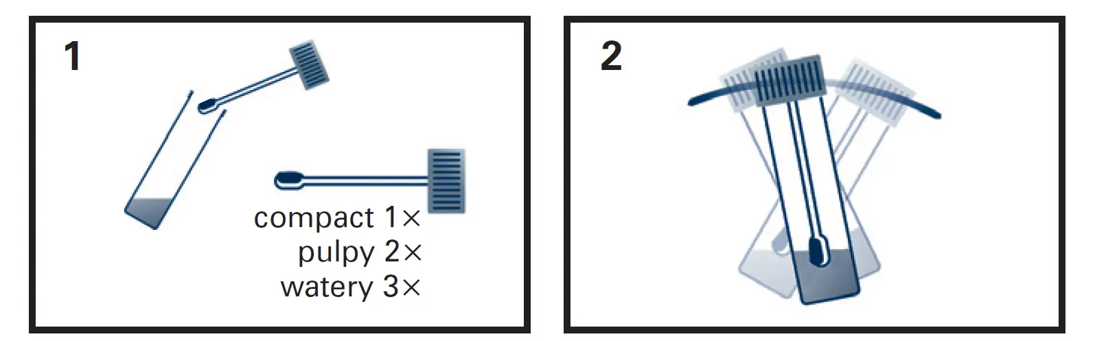Vetlab-Supplies-FASTest-Crypto-Giardia-Strip-fig- (6)