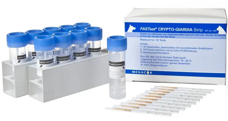 Vetlab-Supplies-FASTest-Crypto-Giardia-Strip-product